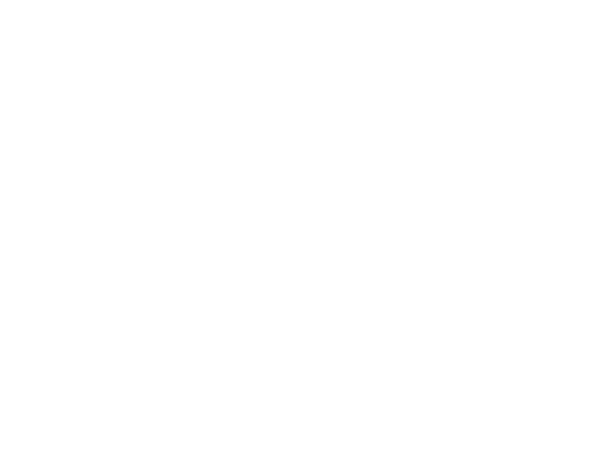 feature-item-1