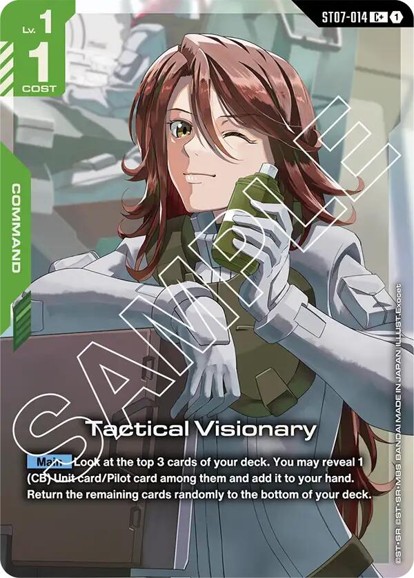 Tactical Visionary (C+)