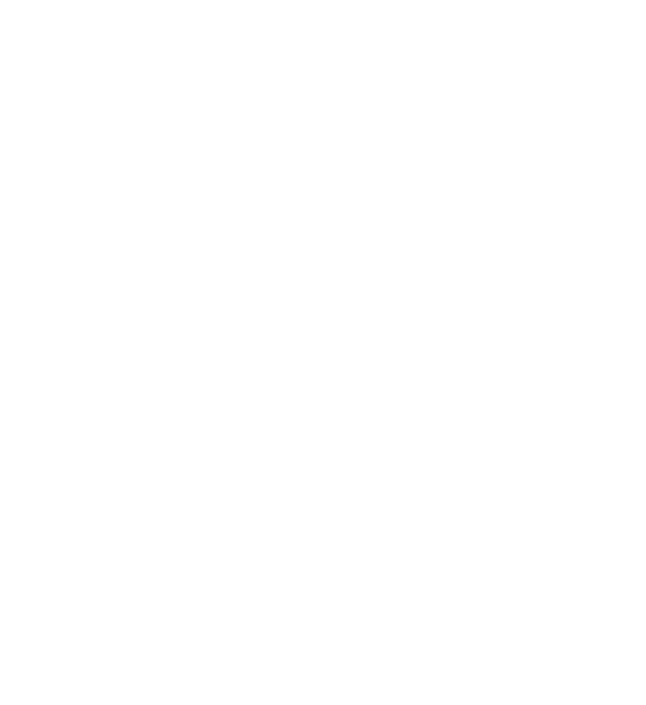 feature-item-2