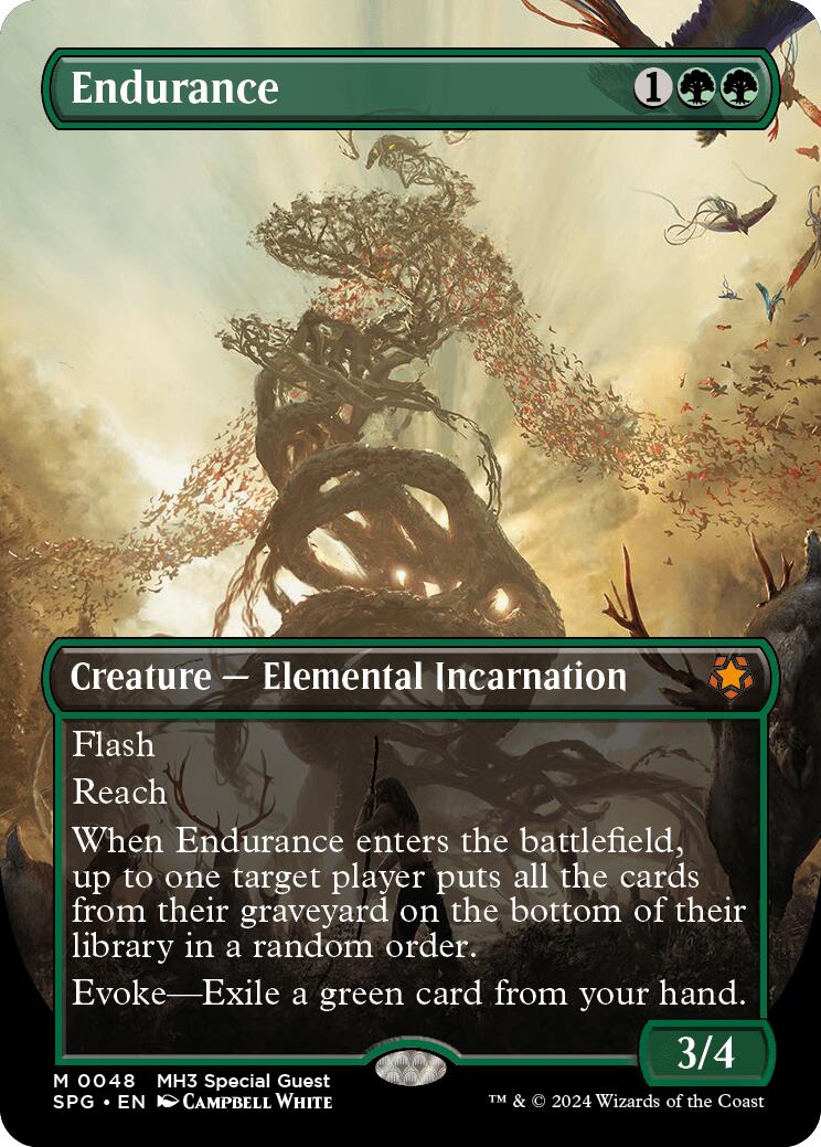 Endurance (Borderless)