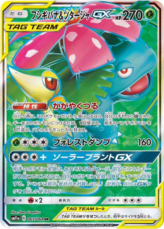 Venusaur & Snivy GX - 065/064
